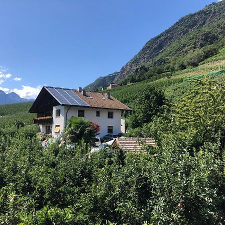 Pixnerhof - Urlaub Am Biohof Daire Castelbello Dış mekan fotoğraf