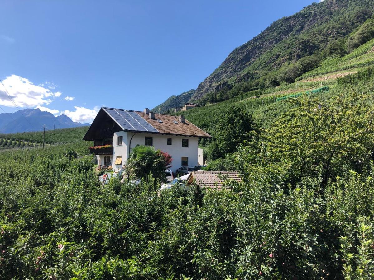 Pixnerhof - Urlaub Am Biohof Daire Castelbello Dış mekan fotoğraf