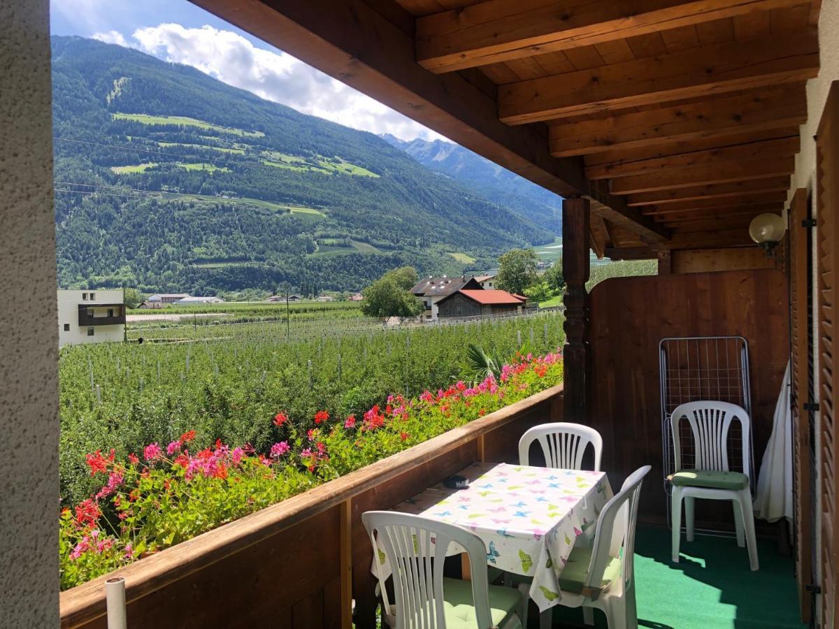 Pixnerhof - Urlaub Am Biohof Daire Castelbello Dış mekan fotoğraf