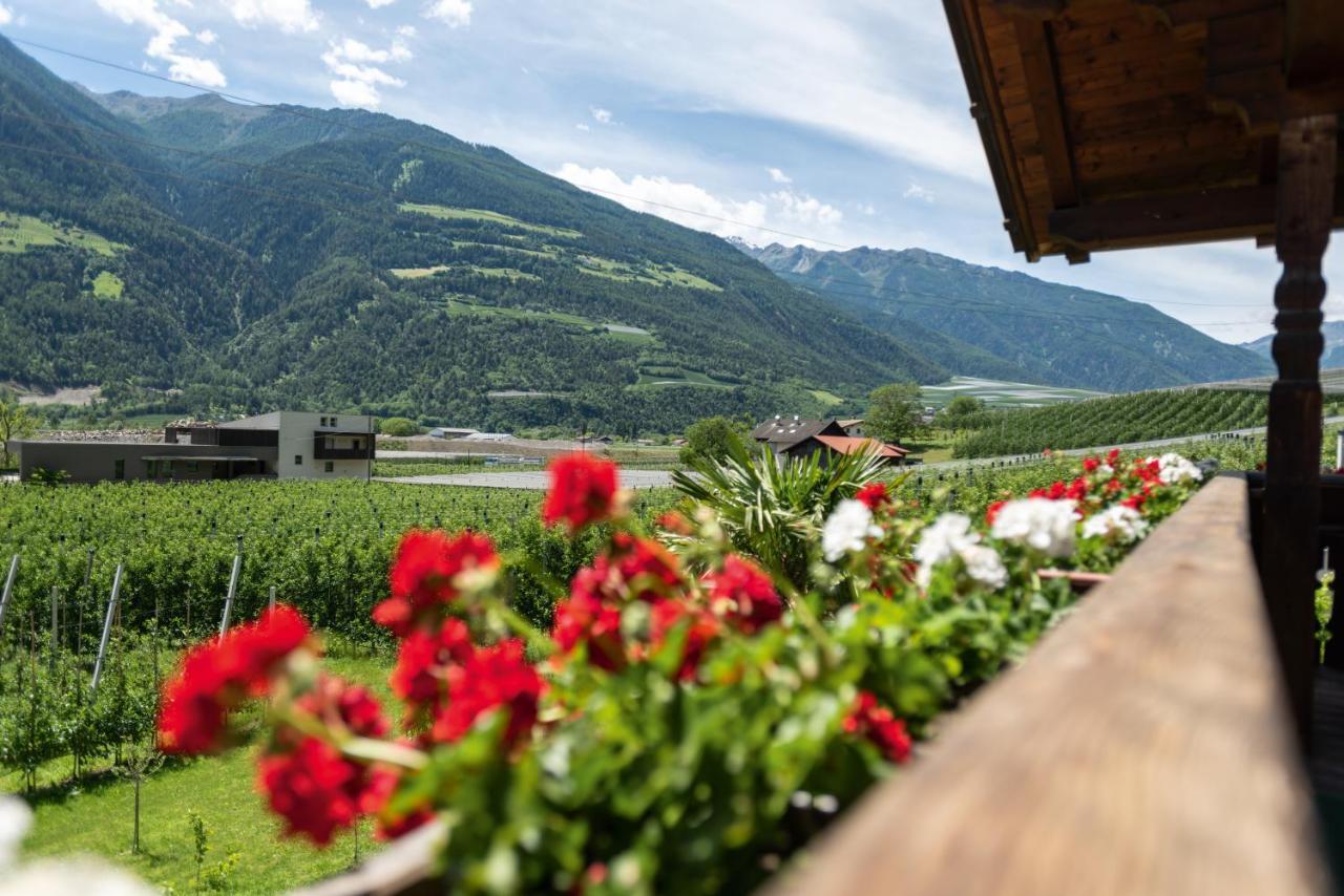 Pixnerhof - Urlaub Am Biohof Daire Castelbello Dış mekan fotoğraf