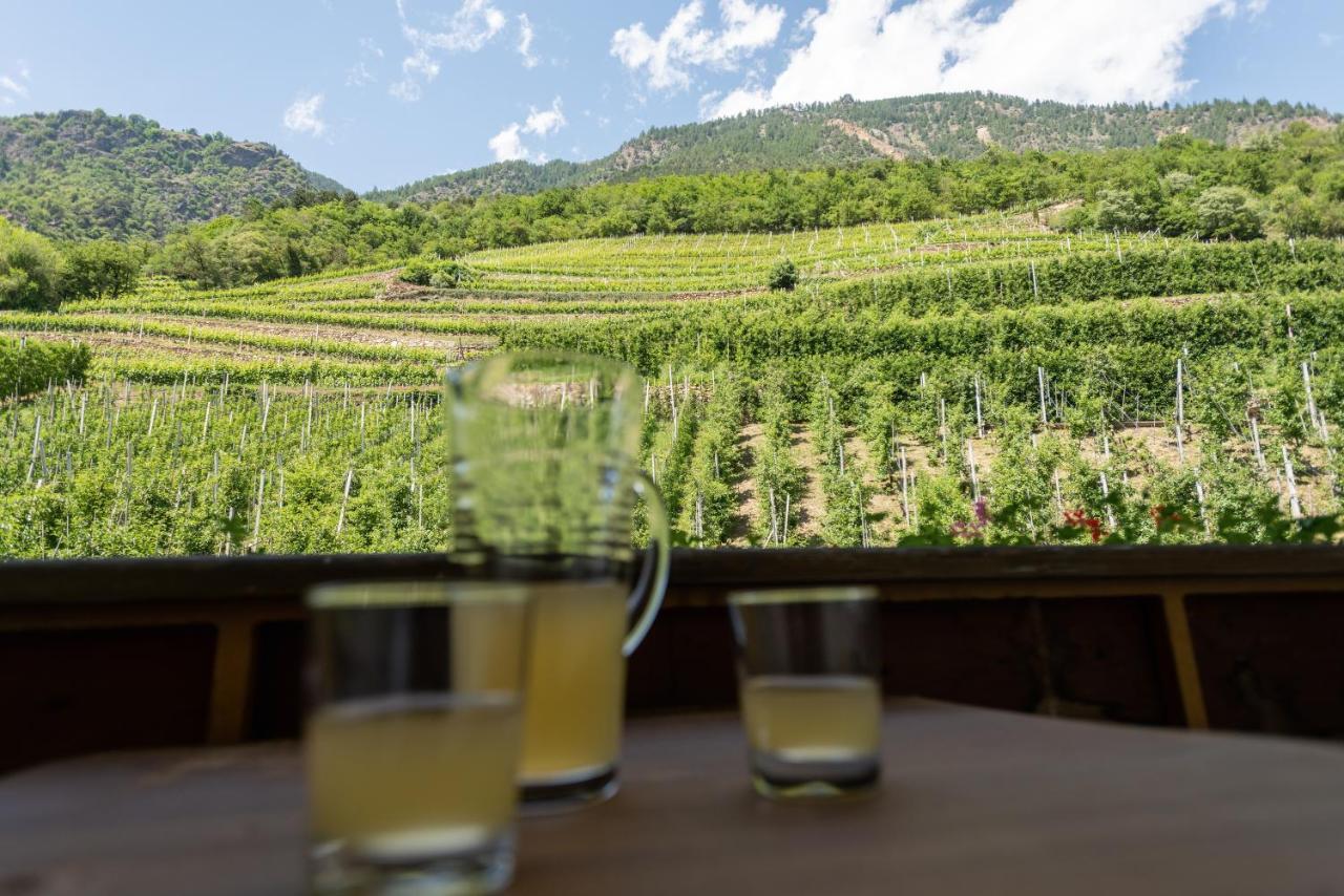 Pixnerhof - Urlaub Am Biohof Daire Castelbello Dış mekan fotoğraf