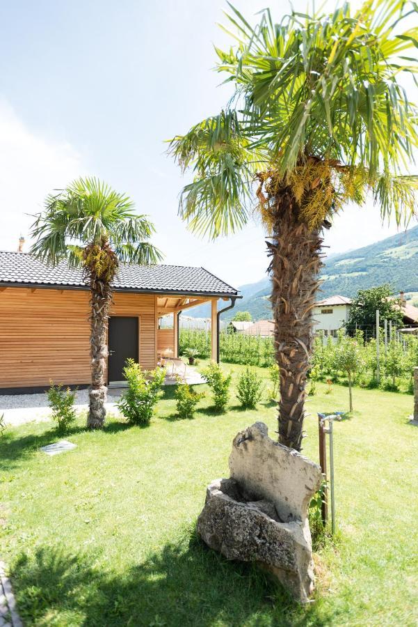 Pixnerhof - Urlaub Am Biohof Daire Castelbello Dış mekan fotoğraf